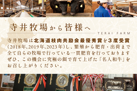贅沢 ハンバーグ150g×6個 別海町産 黒毛和牛「 名人和牛」 A4 A5 牛肉 100％ （ ハンバーグ 牛肉ハンバーグ 牛ハンバーグ 人気 ふるさと納税 ）