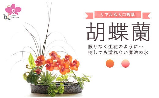 
                  胡蝶蘭 観葉植物 造花 花 【草月流師範免許取得者所属】＼花一凛オリジナルデザイン／『選べるカラー』 光触媒 生花 のようなデザイン Artis Phalaeno アーティスファレノ 神奈川 相模原 アトリエ 花一凛 ※北海道・沖縄・離島への配送不可
                