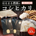 【ふるさと納税】 京都丹波福知山産 はるまる農園のコシヒカリ 5kg×2　合計10kg ふるさと納税 米 精米 コシヒカリ 特別栽培米 10kg 京都府 福知山市 FCCN002