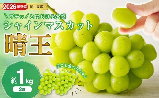 【2026年発送分 先行受付スタート！】岡山県産シャインマスカット「晴王」 秀品　約1㎏（2房）（令和8年8月中旬～10月頃発送）【 シャインマスカット 晴王 フルーツ 果物 くだもの 葡萄 ぶどう 御中元 ギフト プレゼント 御祝 岡山県産 秀品 種無し 高糖度  】hz-s
