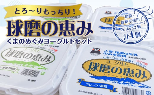 
ヨーグル党総選挙　ム党の部　2年連続の第2位受賞！とろ～りもっちり!球磨の恵みヨーグルトセット(加糖・砂糖不使用各1kgx2個　計4個)
