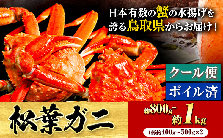 ＼12/23決済完了分まで年内配送／カニ 松葉ガニ 800g~1kg《11月中旬-3月中旬頃出荷》鳥取県 八頭町 送料無料 蟹 かに 姿 鍋 ズワイガニ 松葉ガニ ズワイ蟹 ボイル 冷蔵便 松葉蟹 海鮮 魚介【配送不可地域あり】