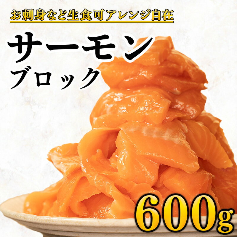 【ふるさと納税】 サーモン 600g サク 海鮮丼 カルパッチョ ムニエル お刺身 漬け アレンジ レシピ コスパ 冷凍 小分け 人気 生食用 切り身 切り落とし 調理 賞味期限 魚介 静岡 沼津