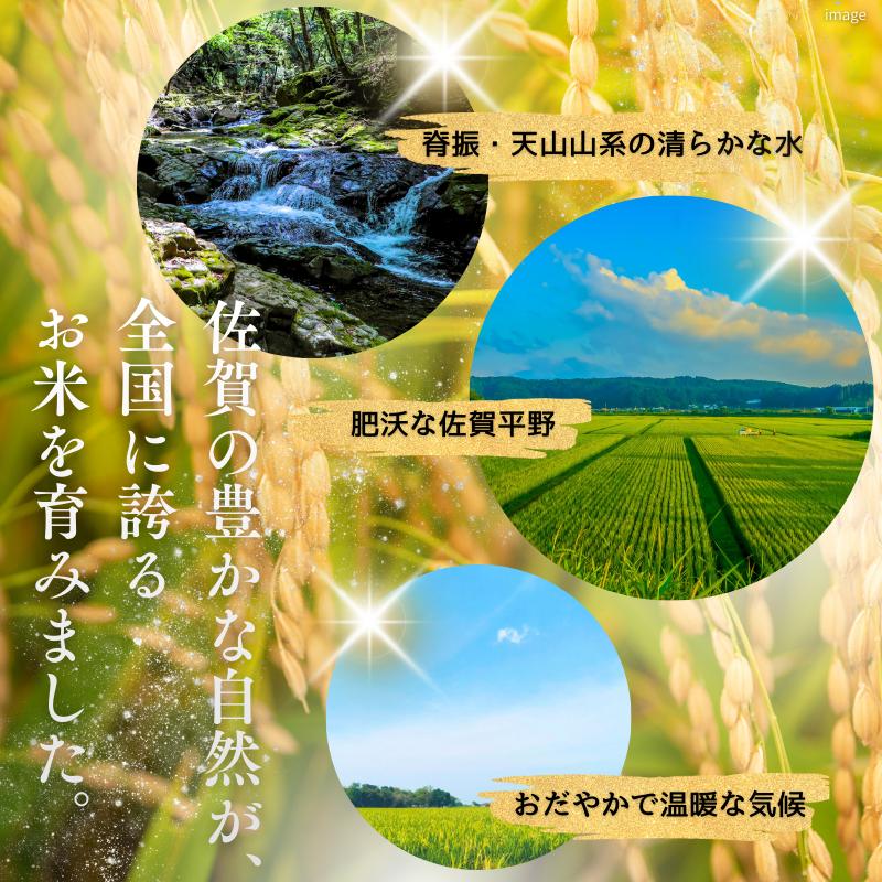 令和7年 佐賀県産夢しずく 白米12kg：B300-045_イメージ4