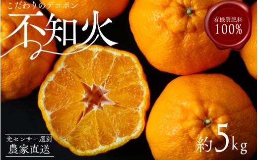 ＼光センサー選別／ 【農家直送】こだわりのデコポン不知火 約5kg  有機質肥料100%　※2026年2月中旬より順次発送予定（お届け日指定不可）【nuk111C】