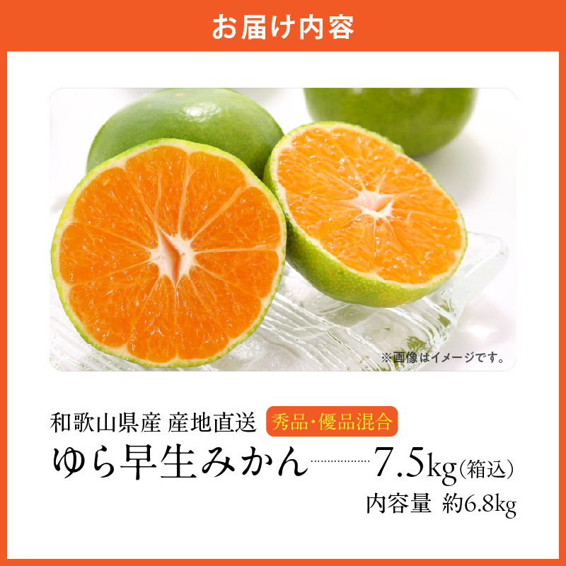 MK1055_【2025年先行予約】ゆら早生 みかん 箱込 7.5kg ( 内容量 6.8kg ) S M Lサイズのいずれか 秀品 優品 混合 有田みかん 和歌山県産