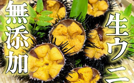 【令和8年発送先行予約】無添加『生うに』 天然 岩手三陸産 朝獲れ ミョウバン不使用 150g×10【2026年4月下旬～8月発送】[15]