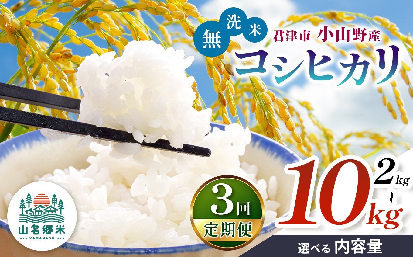 
            【 定期便 3回 】無洗米 令和7年産 君津市小山野産 コシヒカリ 選べる容量 2kg 3kg 5kg 10kg | 山名郷米 やまなごうまい こしひかり 千葉県産 むせんまい 米 コメ こめ お米 千葉県 君津市 きみつ あかかげ農園　千葉稲作 千葉県 君津市 きみつ
          