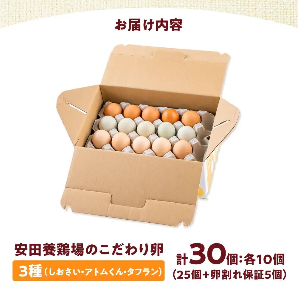 卵 3種セット 各10個入り [AKHN006] 卵
