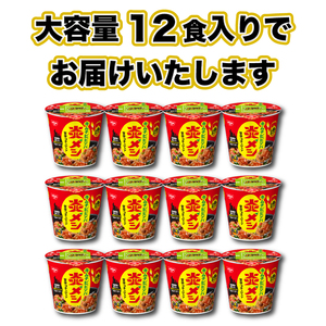 【日清炎メシキムチビビンバ】12食 日清食品 インスタント 即席 JC
