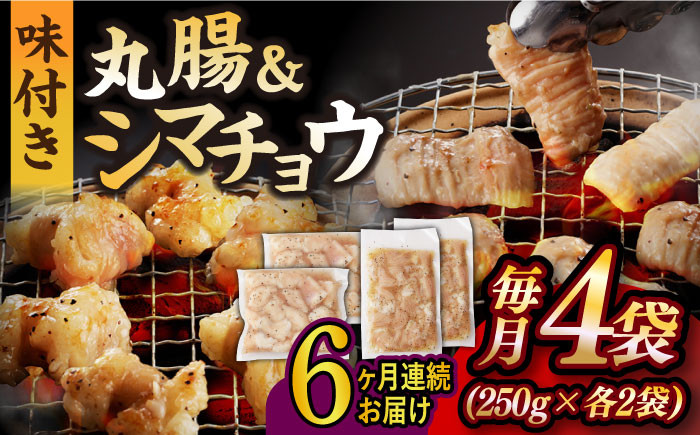 
                  【全6回定期便】【塩だれ】九州産和牛 ホルモン 2種 計1kg（ シマチョウ 250g×2袋・ 丸腸 250g×2袋） 長与町/岩永ホルモン [EAX152] ホルモン焼き 国産 牛肉 ホルモン ミックス 小分け 味付き 冷凍 焼肉 焼き肉 和牛 塩 しお 牛 定期便 ていきびん 定期
                