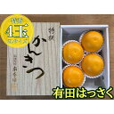 【ふるさと納税】化粧箱 小箱 手詰め 有田 はっさく 特秀 大玉 2L サイズ × 4玉入 南泰園