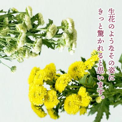 ふるさと納税 酒田市 お供えフリーズドライアレンジ 「メモリアル」  水のいらない花「ゼロフラワー」 |  | 02