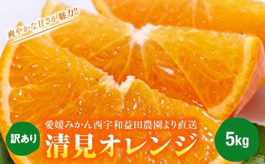 【先行受付】◆愛媛みかん西宇和益田農園より直送～　「清見オレンジ」爽やかな甘さが魅力！！　５kｇ【103-4】 果物 くだもの 清見 清見オレンジ きよみ みかん ミカン 蜜柑 柑橘 フルーツ 選べる 3.5kg 6kg 12kg 内容量 期間限定 季節限定 特産品 YWTBZ007