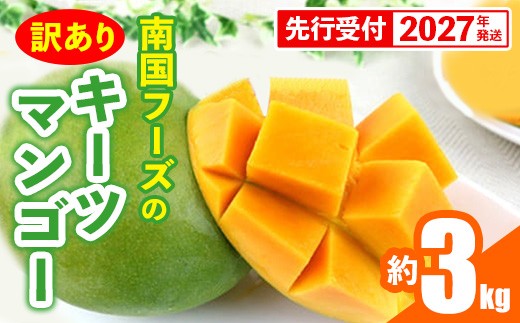 
                  【先行受付】【2027年発送】南国フーズのキーツマンゴー 訳あり 約3kg - 先行予約 沖縄 産地直送 南国フルーツ ご家庭用 ご自宅用 国産マンゴー 希少種 オススメ 沖縄県 八重瀬町
                