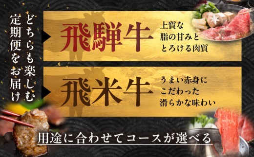 【黒毛和牛 定期便】 飛騨牛入り 選べるコース （全3回 / 全6回 / 全12回）
