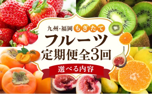 
                  寄附額改定↓ ＜選べる内容＞【定期便・全3回】九州・福岡もぎたて フルーツ定期便 A・B・C|果物 旬 国産 産地直送 いちご イチゴ 苺 あまおう みかん 蜜柑ミカン 極早生みかん 早味かん キウイ キウイフルーツ 甘うぃ 送料無料 那珂川市 福岡県
                