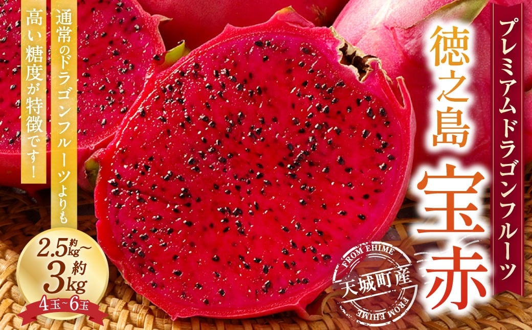 
            【2026年発送】プレミアム ドラゴンフルーツ 赤玉 2.5～3kg(4玉～6玉) 天城町産 徳之島宝赤 トロピカルフルーツ フルーツ 果物 果実 ピタヤ 
          