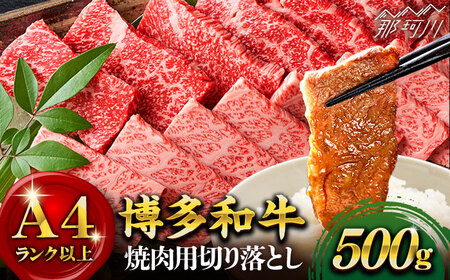【和牛の旨味を堪能！】博多和牛 牛肉 焼肉 500g＜株式会社MEAT PLUS＞那珂川市 焼肉 焼肉 焼肉 焼肉 焼肉 [GBW003] 13000 13000円