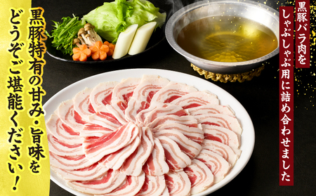 鹿児島県産 黒豚 しゃぶしゃぶ セット しゃぶだし付 （ 黒豚バラ 250g × 2P ） 500g KN054-008-03 肉 豚肉 鍋