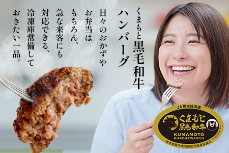 くまもと黒毛和牛 DREAMバーグ 100g×20個 【計2kg】 生 ハンバーグ 牛肉 100％ ブランド牛 黒毛 和牛 お弁当 熊本 上質 肉 惣菜 冷凍 小分け 熊本県 113-0541