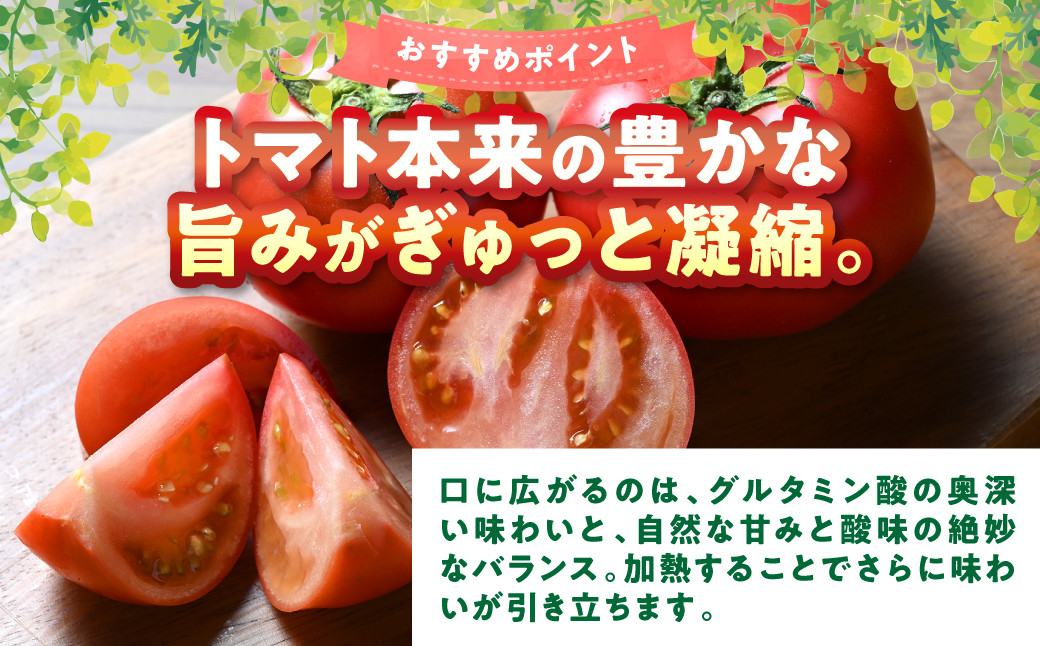 トマト本来の豊かな旨味がぎゅっと凝縮。
