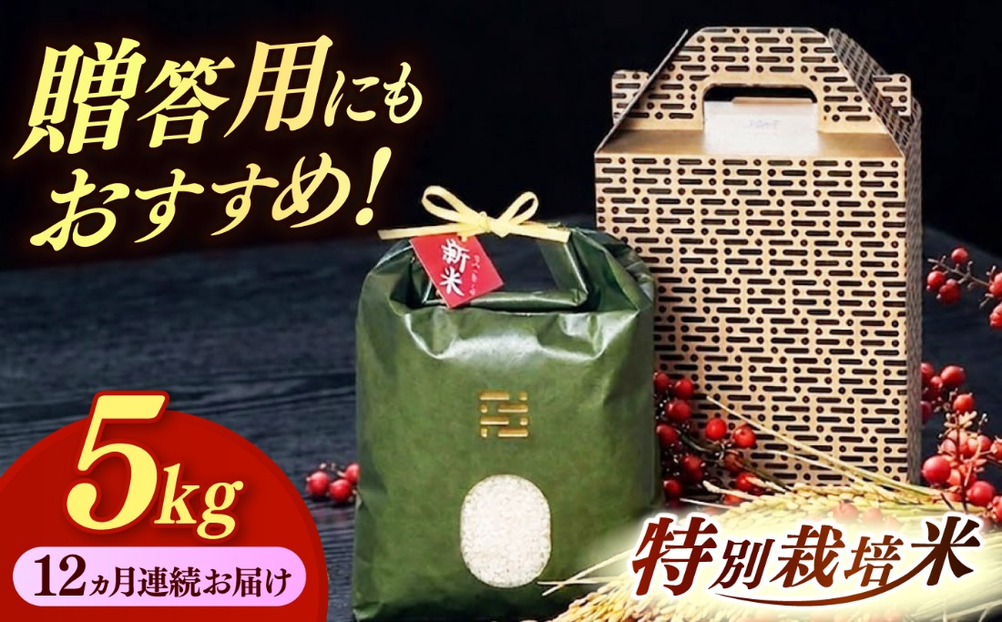 【全12回定期便】とくべつの中のとくべつ  特別栽培米  夢つくし 5kg【築上町】 / itoshimacco / 株式会社やました[ABEX008]