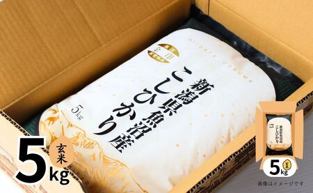 令和7年産新米 魚沼産コシヒカリ「金印」高食味米 玄米 5kg 新潟県 津南町 有限会社イタバ
