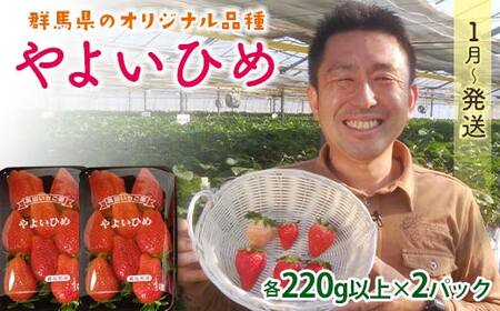 群馬県産いちごセット＜やよいひめ2パック＞【2026年1月4日～3月31日発送】(各220g以上×2パック) いちご やよいひめ 群馬県産 オリジナル品種 苺 イチゴ セット 詰合せ 果物 フルーツ 食品 F21E-493
