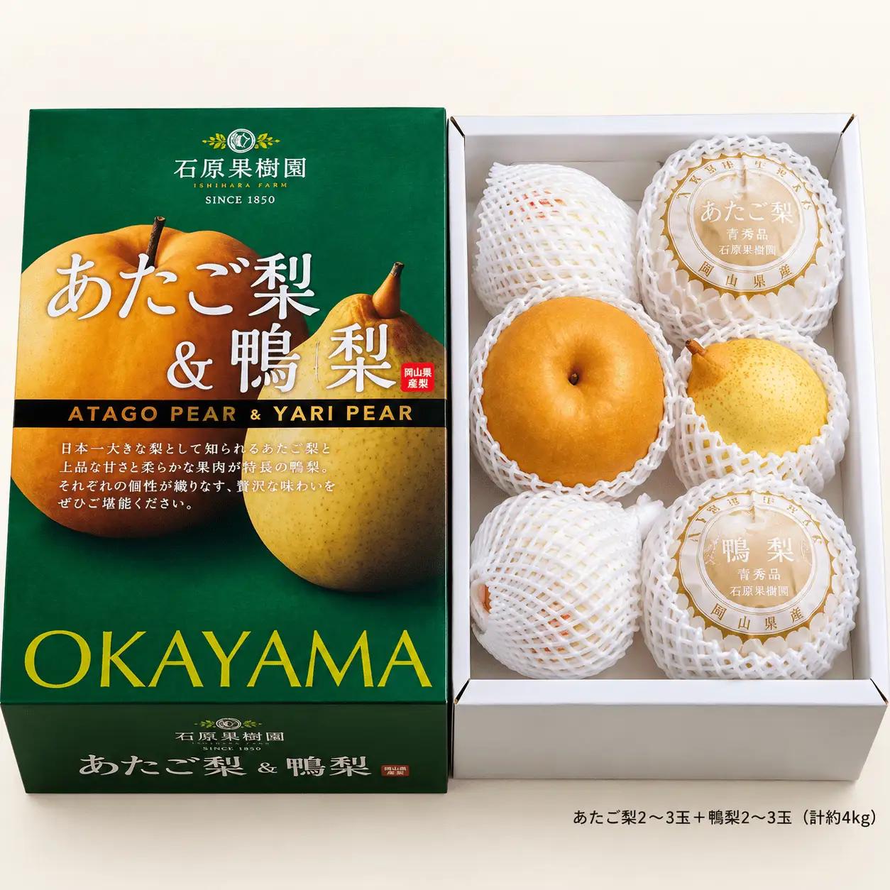 梨 詰め合わせ あたご梨2～3玉 ヤーリー梨3～7玉 計4kg 化粧贈答箱 岡山県産 【ishk024-01】