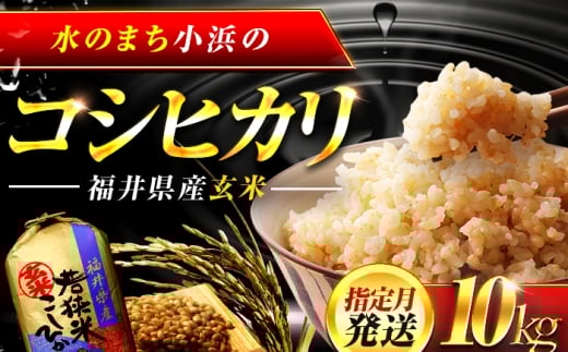 【4月発送】 福井県産 コシヒカリ 玄米 10kg 一等級 /甘みと粘りが自慢 王道米 こしひかり 小浜市 / 若狭ふれいあい市場 [BFEL005]