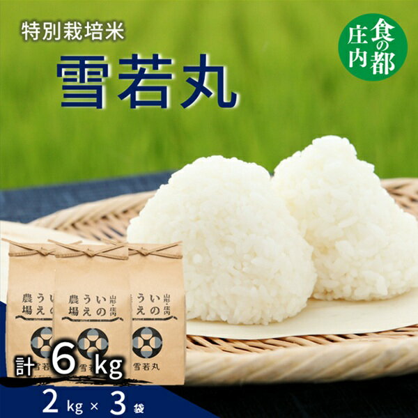 【ふるさと納税】食の都庄内　井上農場の特別栽培米 雪若丸 6kg（2kg×3袋）（産直出前便）
