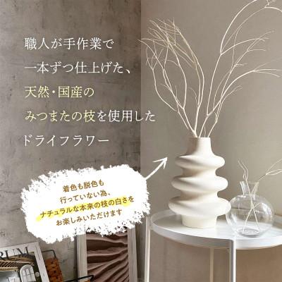 ふるさと納税 多良木町 TSUKIGI みつまた 50cm〜80cm 白枝 インテリア オブジェ |  | 01