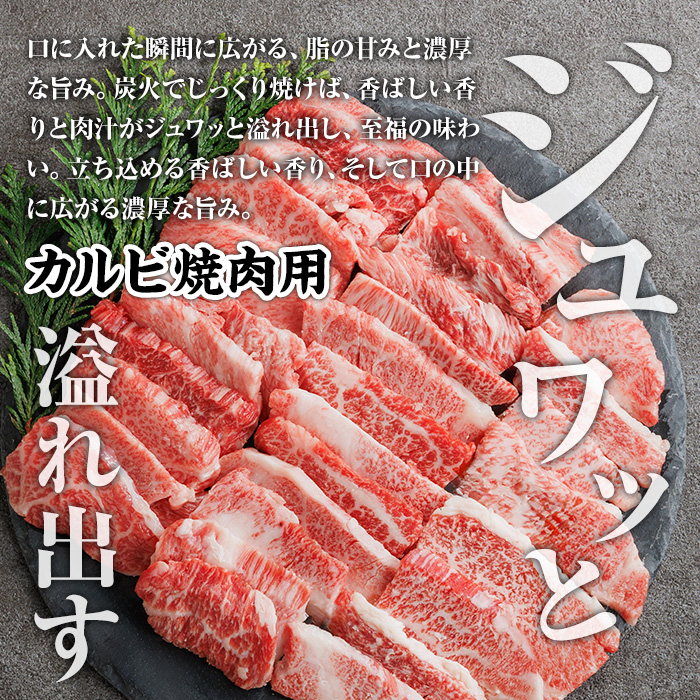 A4~A5 博多和牛焼肉用3種盛りセット (合計530g) 牛肉 肉 お肉 精肉 国産牛 ブランド牛 和牛 希少部位 赤身 霜降り ミスジ 小分け パック 使い勝手 冷凍 焼肉 セット 盛り合わせ B