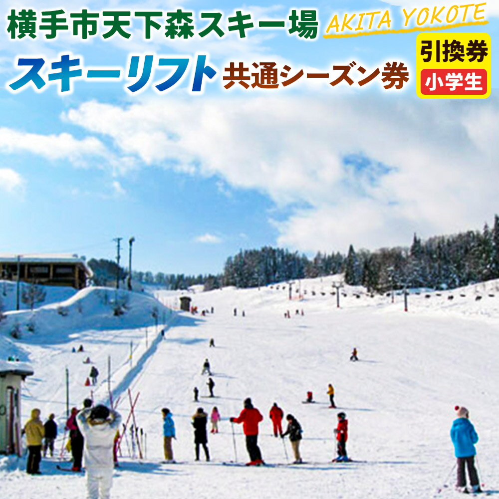 【ふるさと納税】横手市天下森スキー場 スキーリフト共通シーズン券（小学生）引換券 ゆうパケット