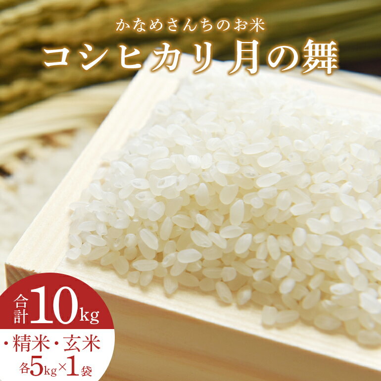 【ふるさと納税】かなめさんちのお米「月の舞」精米5kg・玄米5kgセット 10kg 令和7年度産 米 新米 精米 玄米 セット コシヒカリ こしひかり ブランド米 お米 白米 げんまい 国産 おにぎり 弁当 R7年産 ごはん おいしい 旨い ふっくら お米 茨城県 笠間市 いばらき