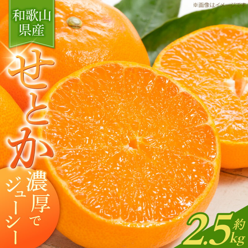 【ふるさと納税】【2027年先行予約】 【限定】 とろける食感！ジューシー柑橘 せとか 約 2.5kg 【ミカン 蜜柑 春みかん 柑橘 和歌山 有田】