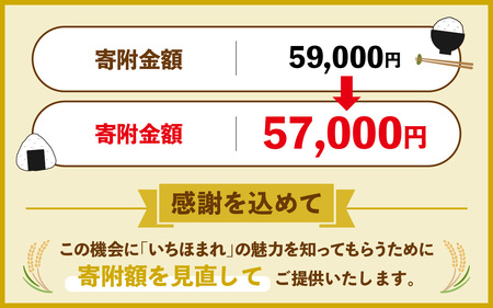 令和7年産 いちほまれ 精米 5kg(5kg×3袋) ブランド米 白米 [D-014004]