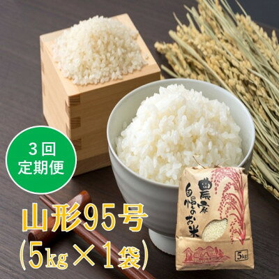 【ふるさと納税】【発送月固定定期便】山形95号 精米 5kg　佐藤全3回【4089321】