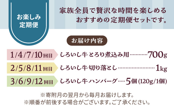 【牧場直送】【12回定期便】しろいし牛 家族向け お楽しみ 定期便（スタンダードコース）【有限会社佐賀セントラル牧場】 [IAH211]