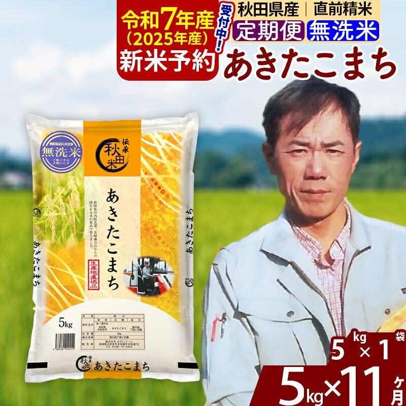 【ふるさと納税】※令和7年産 新米予約※《定期便11ヶ月》秋田県産 あきたこまち 5kg【無洗米】(5kg小分け袋) 2025年産 お届け周期調整可能 隔月に調整OK お米 みそらファーム