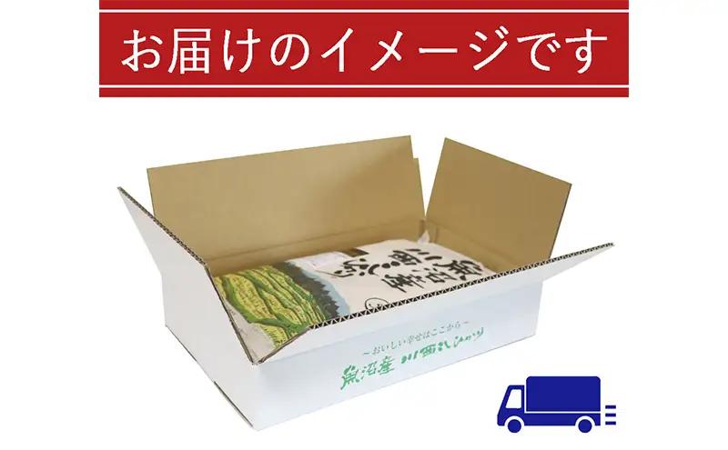 コシヒカリ 魚沼産川西 5kg 精米 コシヒカリ