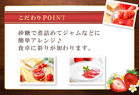 A-1181 ジャムにぴったり　訳あり いちご（750g×2パック）
