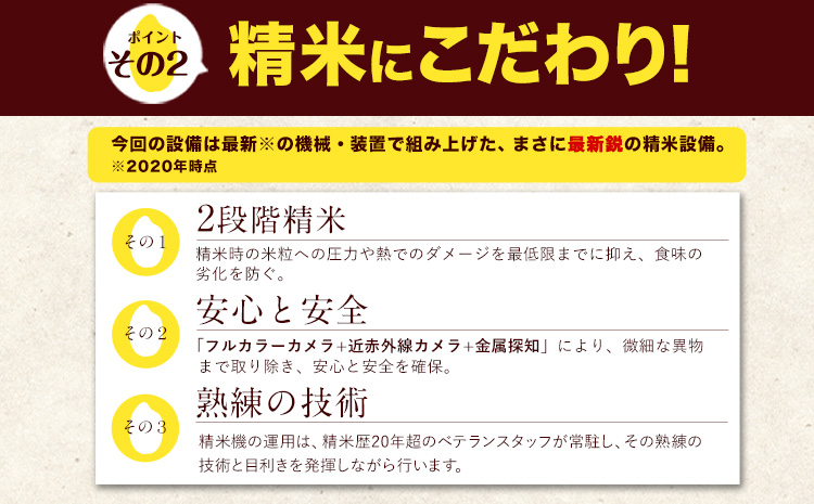 米 無洗米 令和6年産 新米 特A受賞品種 ひのひかり 森のくまさん 米 送料無料 10kg 食べ比べ ヒノヒカリ 厳選 熊本県産(長洲町産含む) 米 お米 森くま 《11月-12月より出荷予定》長洲