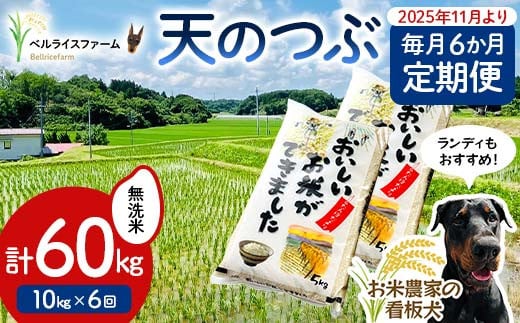 
            【お米の定期便 2025年11月より毎月6か月配送】農家直送 天のつぶ 無洗米10kg 全6回 F6U-185
          