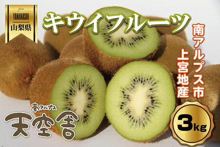 【ふるさと納税】＜2027年先行予約＞南アルプス天空舎のキウイフルーツ 3.0kg ALPAB017