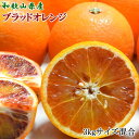 【ふるさと納税】 【希少・高級柑橘】国産濃厚ブラッドオレンジ「タロッコ種」3kg ※2025年4月上旬～4月下旬頃順次発送予定（お届け日指定不可）