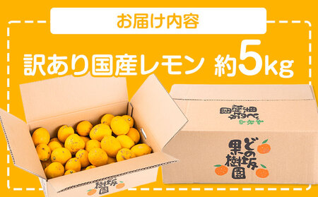 レモン 名産地からお届け! 訳あり 国産 レモン 約 5kg (サイズ混合)  ノーワックス 減農薬 どの坂果樹園《2024年2月上旬-5月末頃出荷》 レモン れもん 檸檬 果物 和歌山県 日高川町 