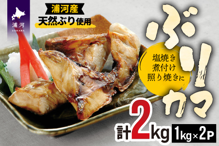 北海道日高産 ブリカマ2kg[25-1291]