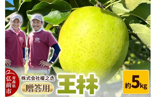 【26年11月発送】りんご 王林【贈答用】約5kg 權之丞 青森りんご 先行受付 青森県 弘前市 果物 フルーツ 林檎 リンゴ くだもの ギフト 贈り物 [先行予約 産地直送 弘前市産 アップル おいしい 果実 美味 甘い 黄色]